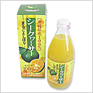 ꌧY100%V[N[T[360ml